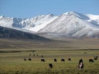 Foto Tíbet